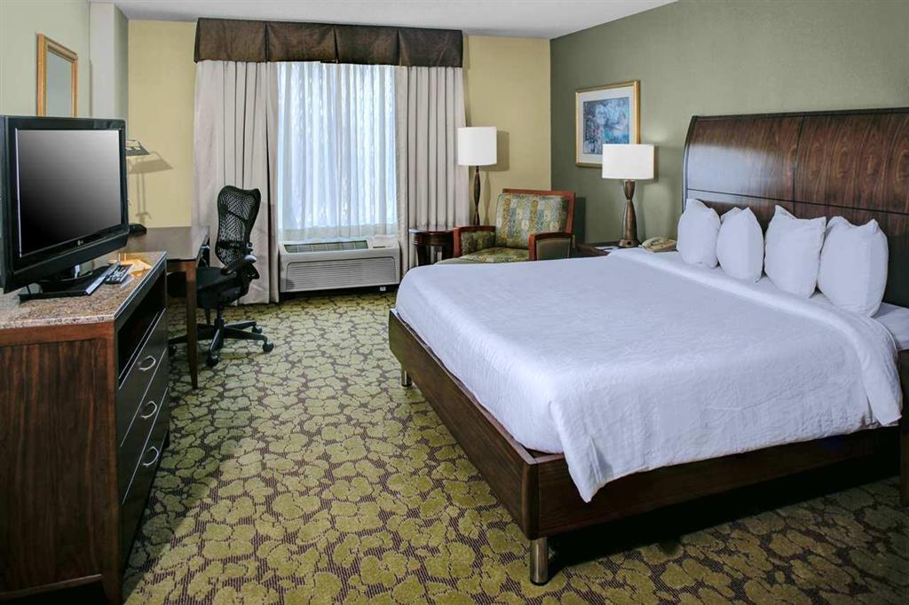 Hilton Garden Inn Atlanta North/Alpharetta Zimmer foto